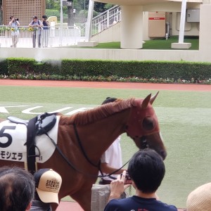レース当日