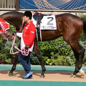 2023/10/21 2歳新馬