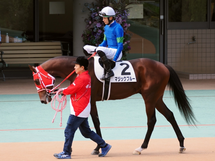 2023/10/21 2歳新馬 マジックブルー