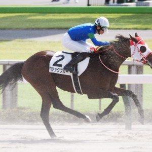 2023/10/21 2歳新馬