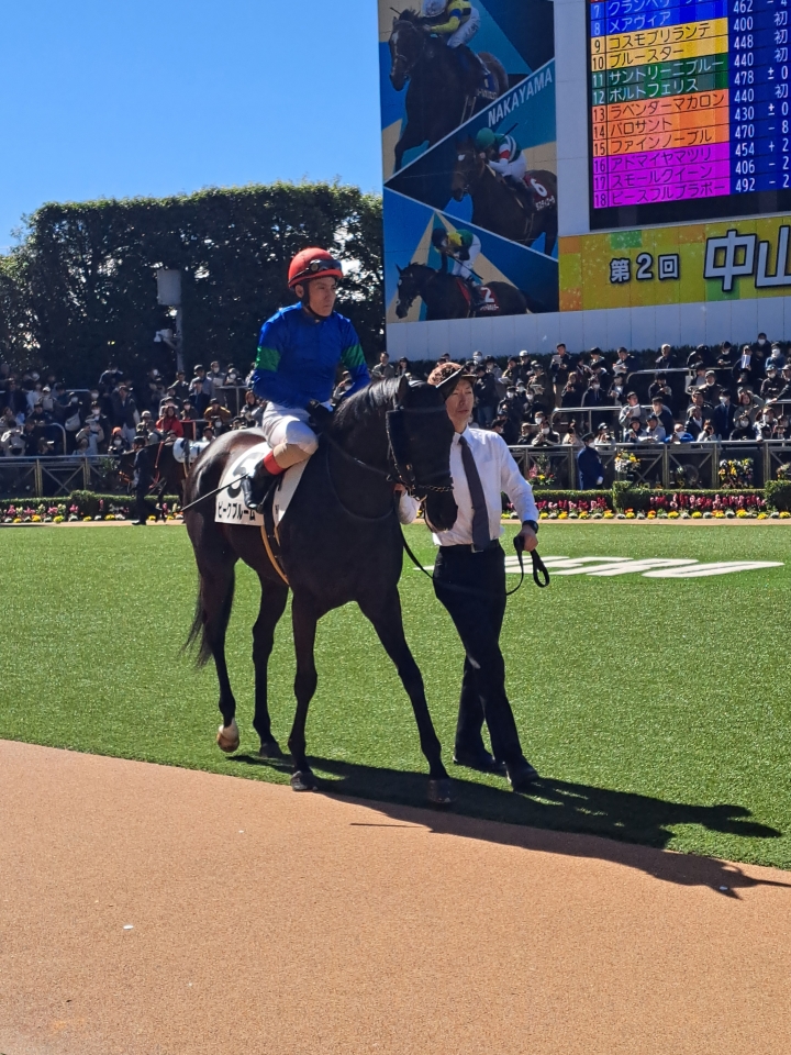 2024/3/3 3歳未勝利(牝) ピークブルーム