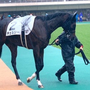 新馬戦
