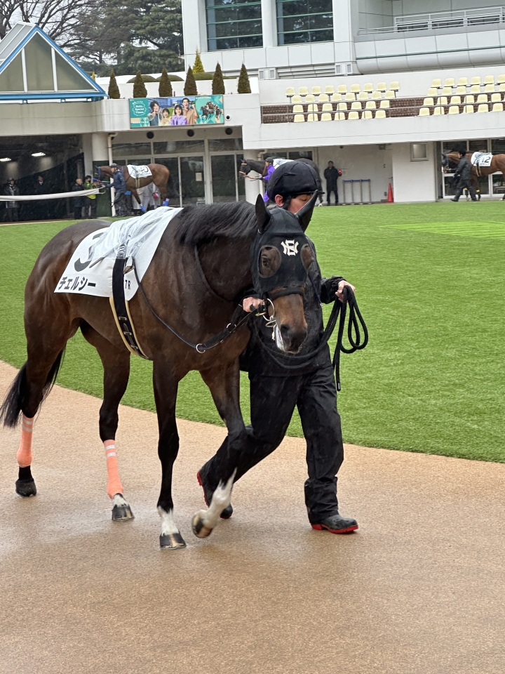 2025/3/16 4歳以上1勝クラス(牝) チェルシー