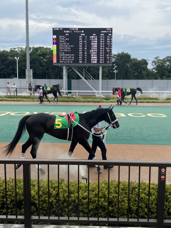 2024/7/24 名古屋マスカッ(3歳) グランスカーレット