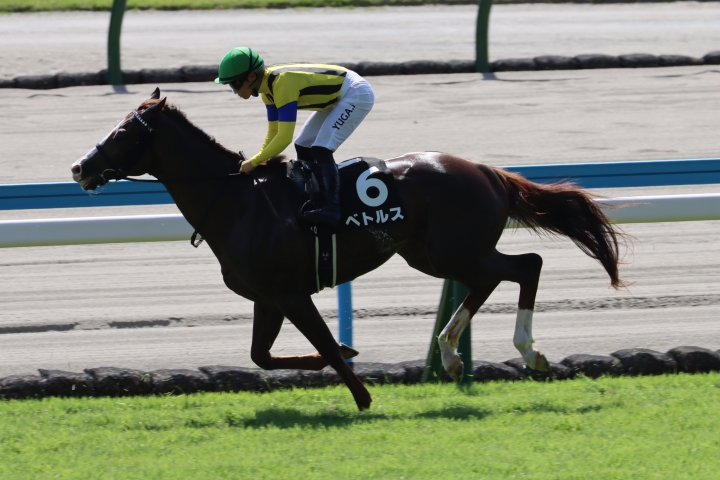 2025年7月 ベトルス