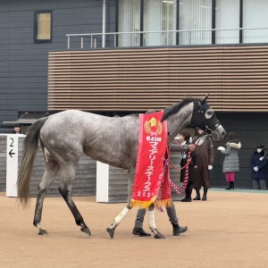 2024/1/7 フェアリーS(G3)