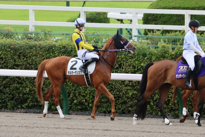 2024年6月 ホルガーダンスク