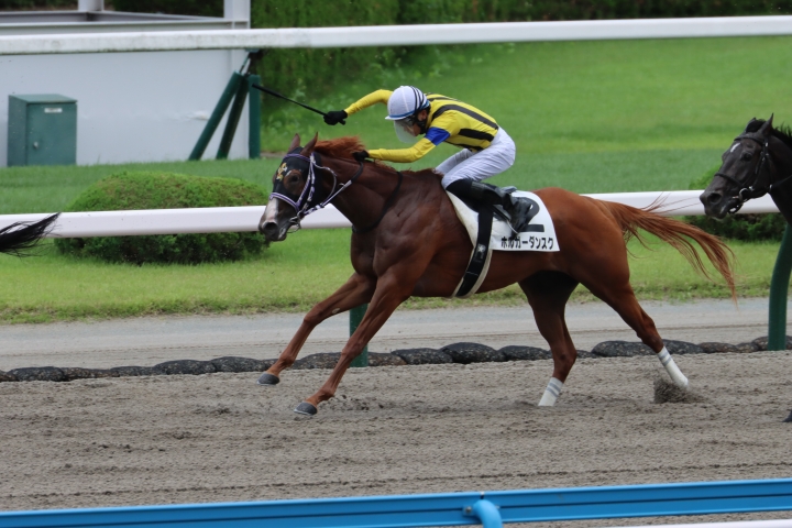 2024年6月 ホルガーダンスク