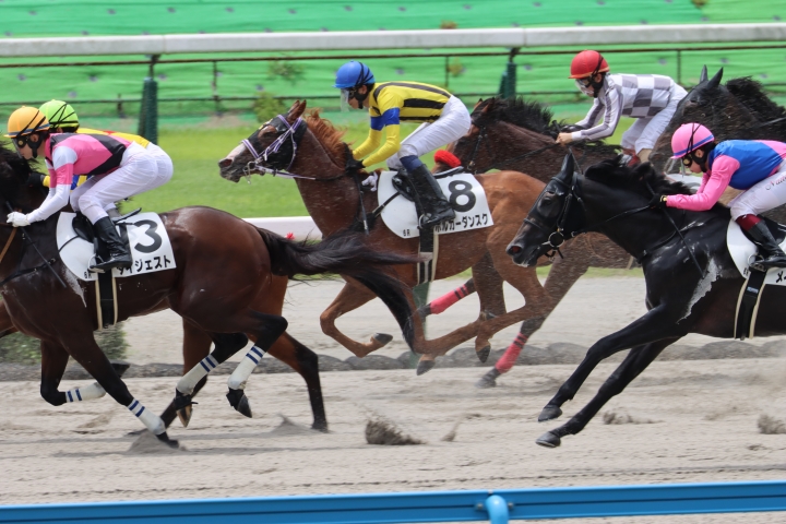 2024年7月 ホルガーダンスク