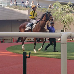2024/4/14 3歳未勝利(牝)