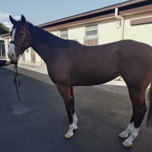 グリーンウッドトレーニングにて