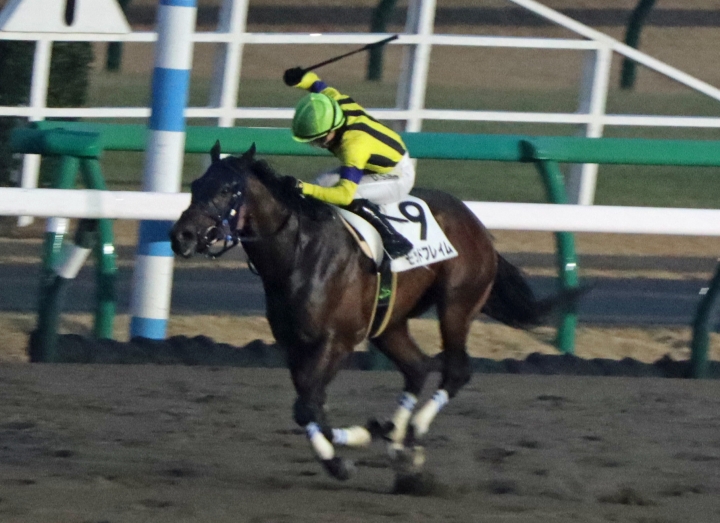 2024.1.６_中山1勝クラス_レース2 モッドフレイム