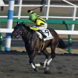2024.1.６_中山1勝クラス_レース2