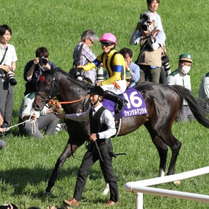 ジャンタルマンタル - アルバム写真 :: 一口馬主DB