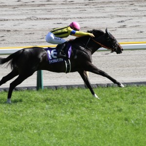 ジャンタルマンタル - アルバム写真 :: 一口馬主DB