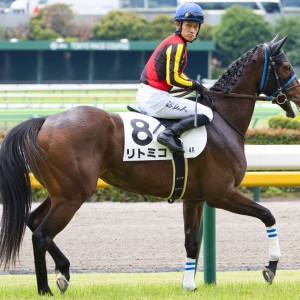 2024/6/22 3歳未勝利
