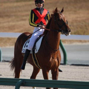 2024/12/15 3歳以上1勝クラス
