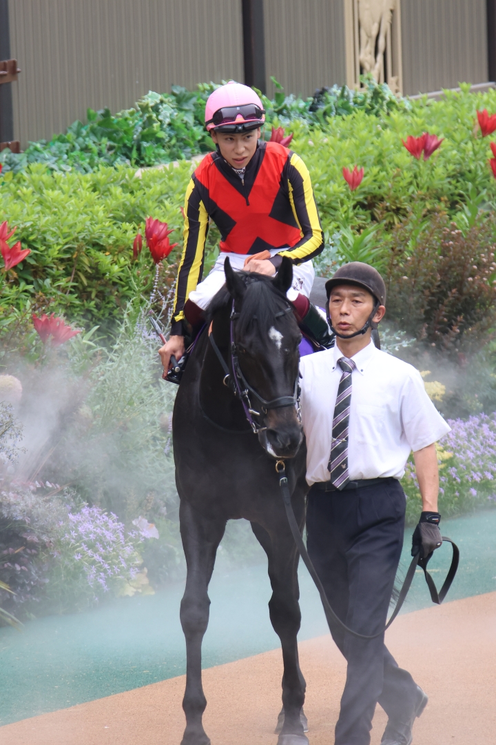 2025/6/8 安田記念(G1) トロヴァトーレ