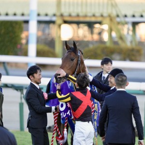 2024/12/22 有馬記念(G1)