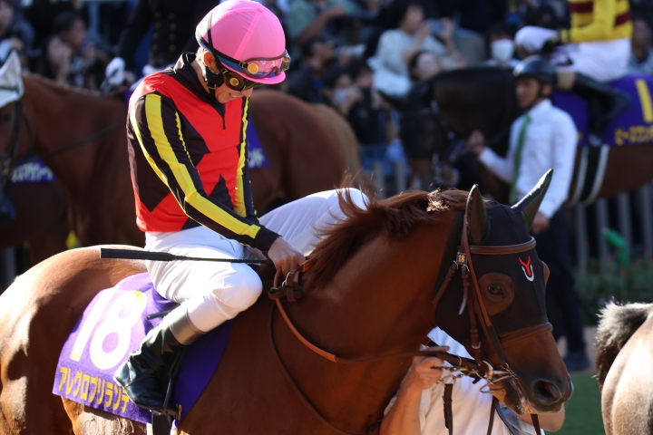 2024年10月 アレグロブリランテ