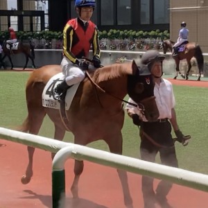 2歳新馬戦パドック