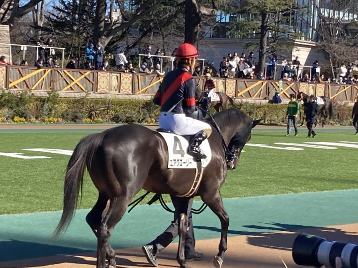 パドック ユアグローリー