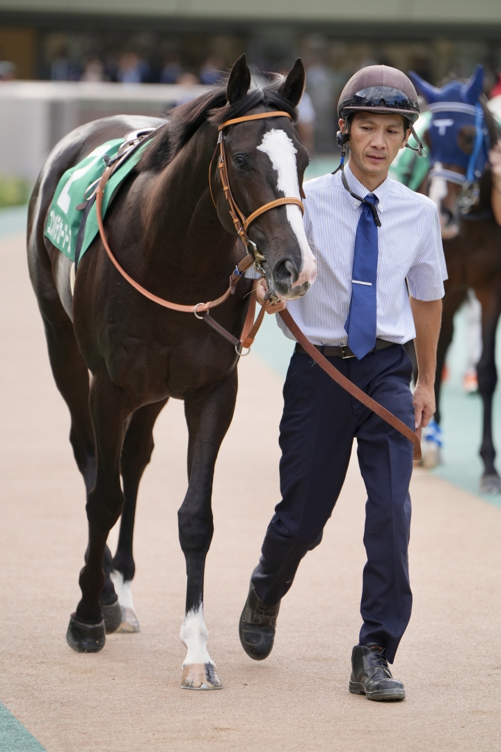 2023/10/7 サウジアラビアロイ(G3) ゴンバデカーブース