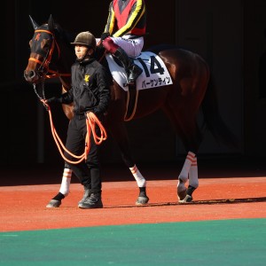 2025/12/14 3歳以上1勝クラス