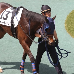 ラストランパドック