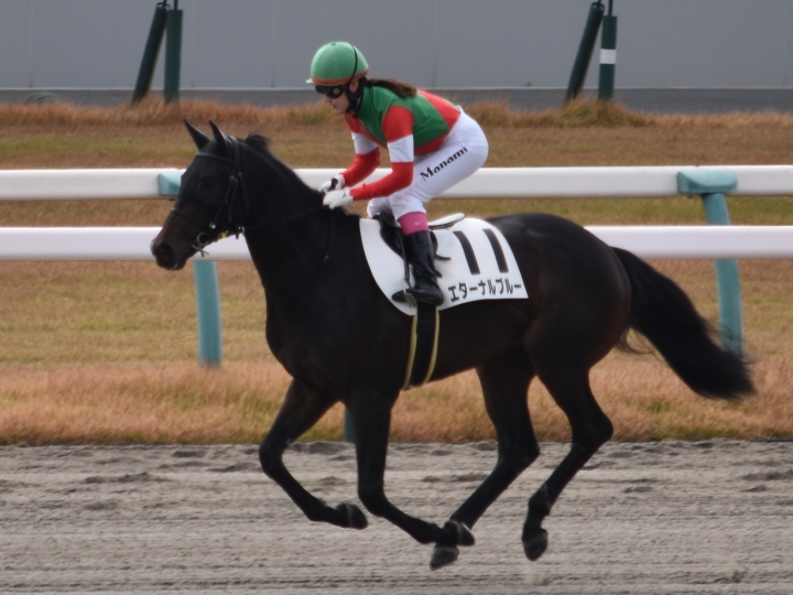 返し馬 エターナルブルー