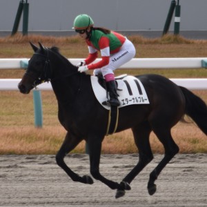 返し馬