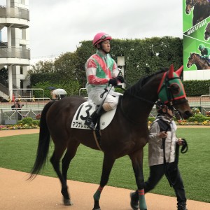 2025/4/13 障害未勝利