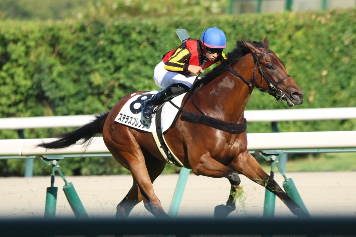2024年8月 ステラスプレンダー