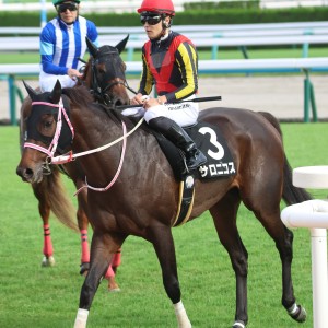 2025/10/11 宇治川特別(2勝クラス)