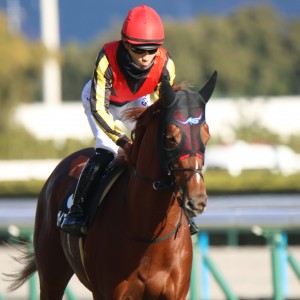 2024/12/22 サンタクロースS(3勝クラス)