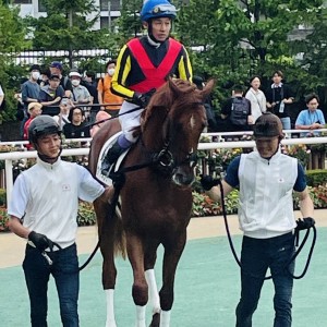 2023/8/6 2歳新馬