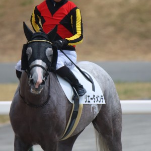 2024/8/18 3歳以上1勝クラス(牝)