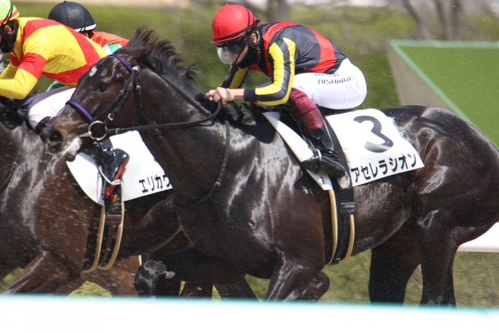 2024年3月 アセレラシオン