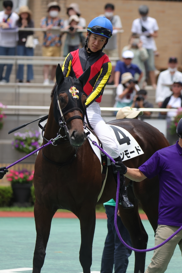 2023年7月 アンモード