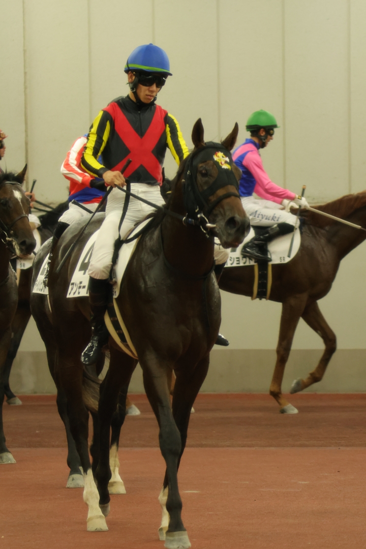 2023年7月 アンモード