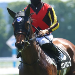 2024/6/1 聖護院特別(2勝クラス)