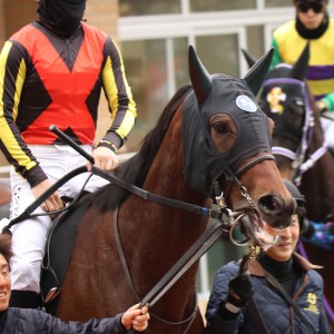 2025/1/12 新春S(3勝クラス)