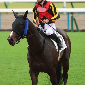 2024/10/19 3歳以上1勝クラス