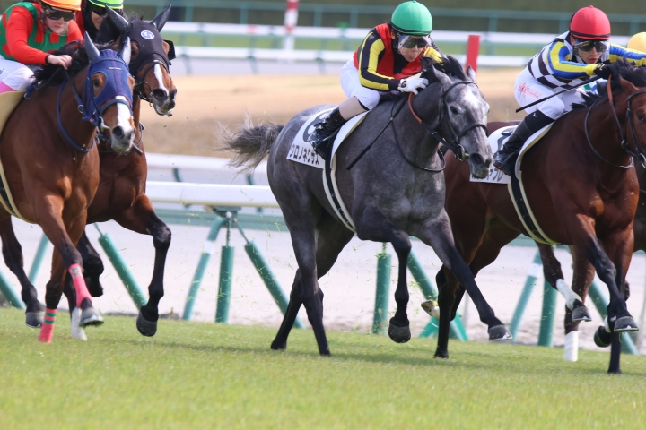 2024年3月 クロノネクサス