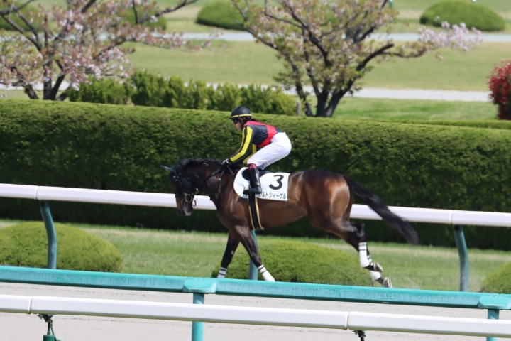 2024年4月 ゴルトツィーゲル