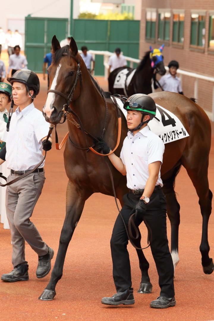 2023/8/26 2歳未勝利 ヴィクトリアドール