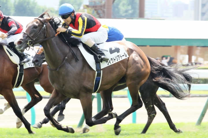2023/8/26 2歳未勝利 ヴィクトリアドール