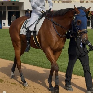 2025/1/25 4歳以上1勝クラス