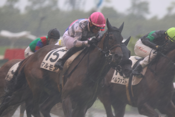 2024年8月 マルモア