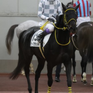 2024/12/1 3歳以上1勝クラス